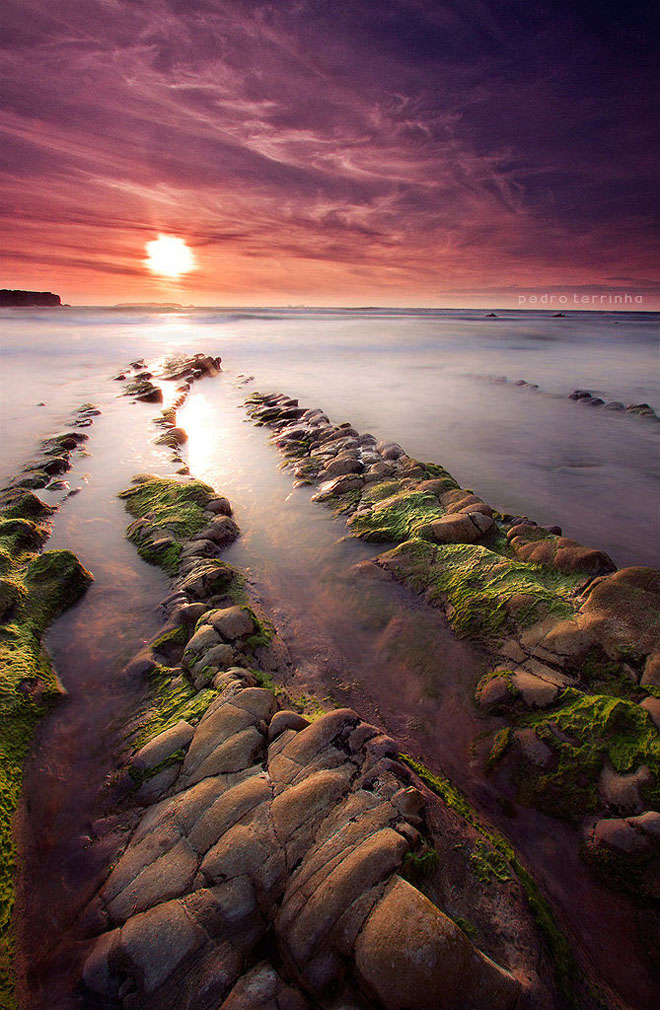 beatiful-dream-colorful-pedro-terrinha-photography